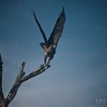 Back from South Africa