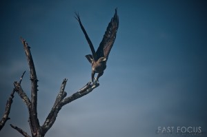 Back from South Africa