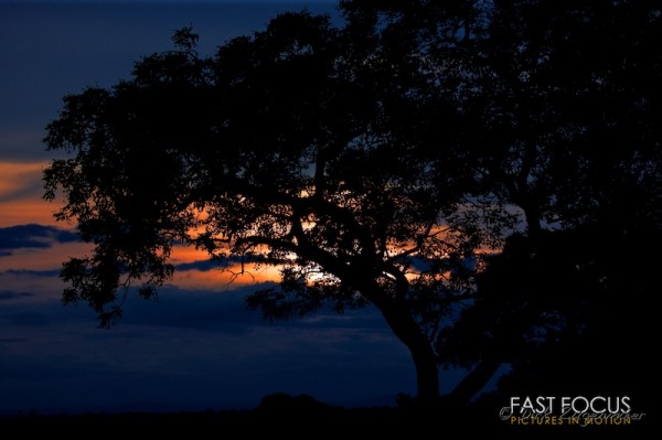 Sunset @ Sabi Sand, ZA