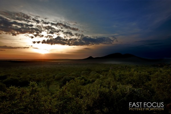 Morning Walk I @ Leopard Mountain, ZA
